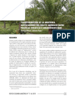 1 Transformacin de La Amazonia Repercusiones Del Efecto Sinrgico Entre Polticas Errticas e Ingobernabilidad