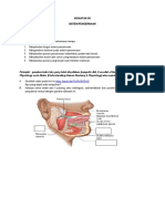 Daring - Sistem Pencernaan - Anfisman PDF