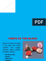 The Parts and Functions of Blood Components