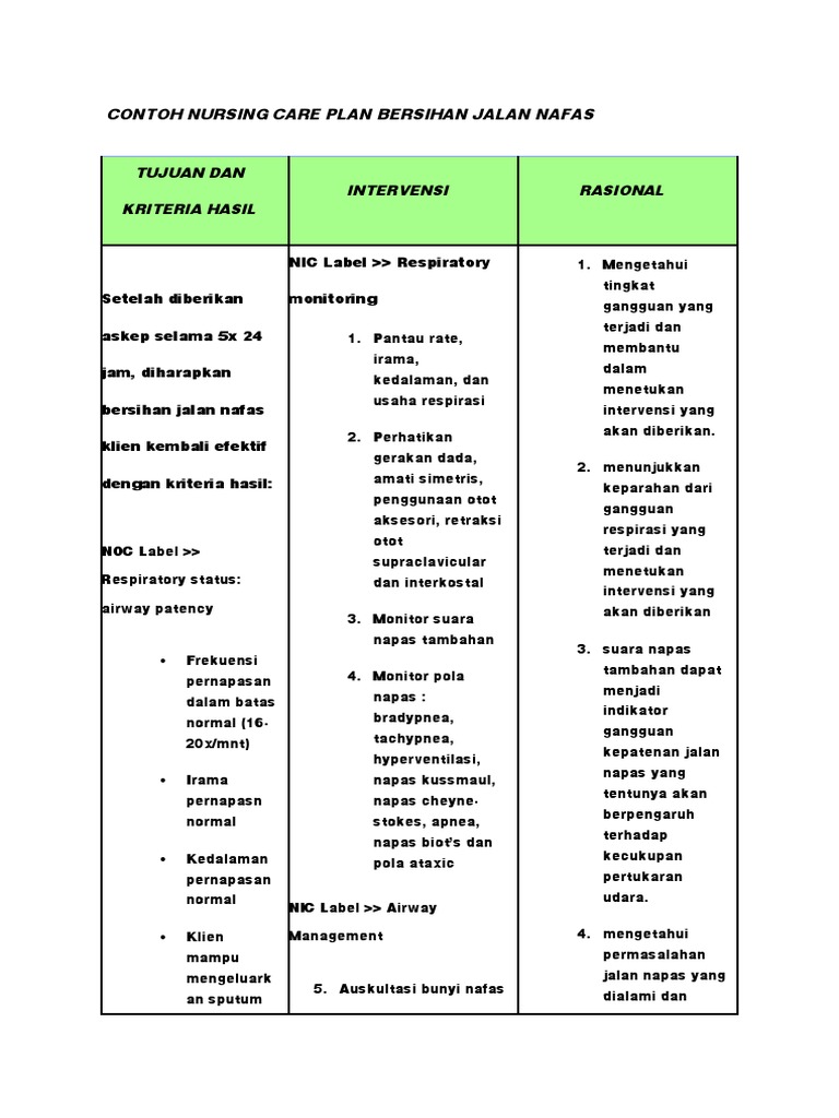 Contoh Nursing Care Plan Bersihan Jalan Nafas | PDF