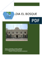 PRESENTACION ALCALDIA EL BOSQUE (4)