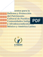 CNDH (2019) Argumentos-Indigenas-Afrodescendientes PDF