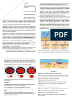 Guia Taller Ciencias Naturales Ciclo 3