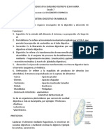 Sistema - Digestivo - de - Animales CIENCIAS #2 PDF