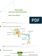 Nerves, Neuroglia, and Neurotransmission: With Thad Wilson