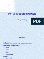 Patofisiologi Radang 2