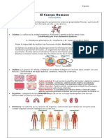 Evidencia 1 Cuerpo Humano