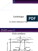 Cardio 1 Diapos