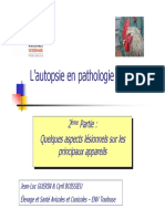 Lesions PDF