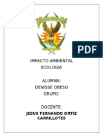 Infografia Del Impacto Ambiental