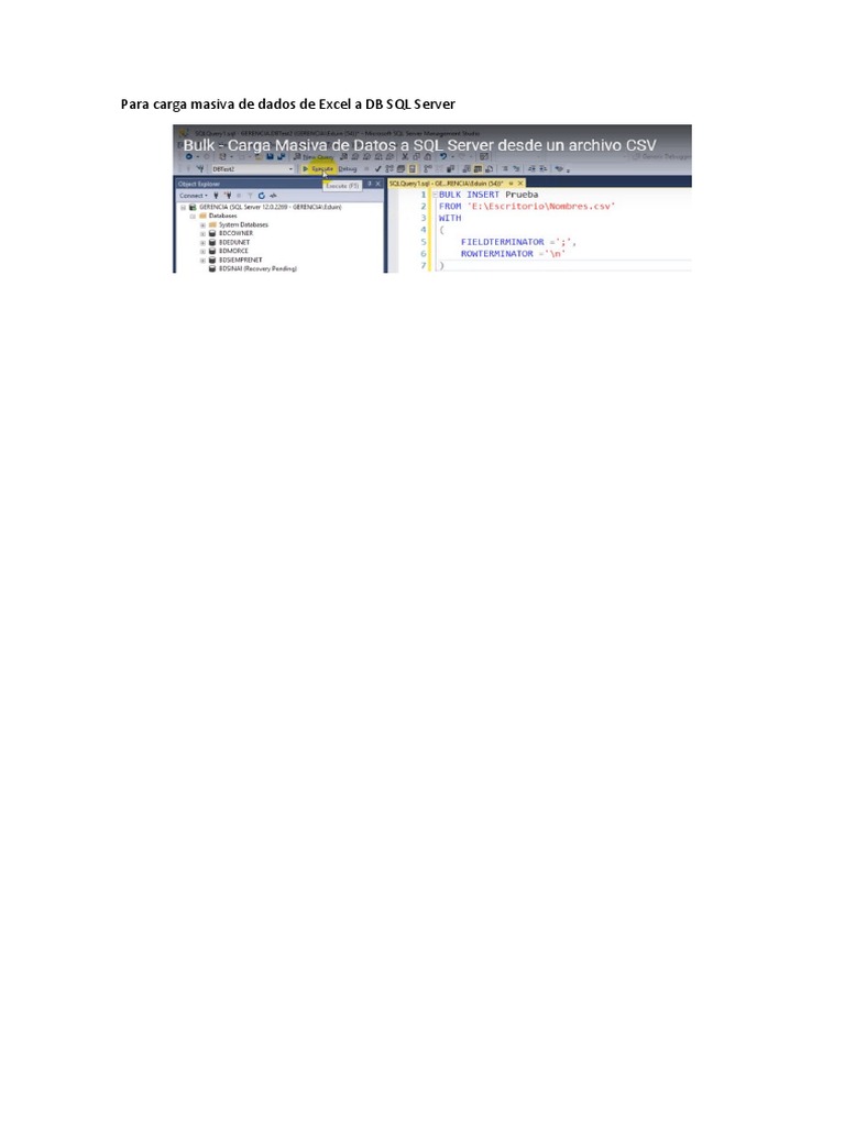 Para Carga Masiva de Dados de Excel A DB SQL Server | PDF