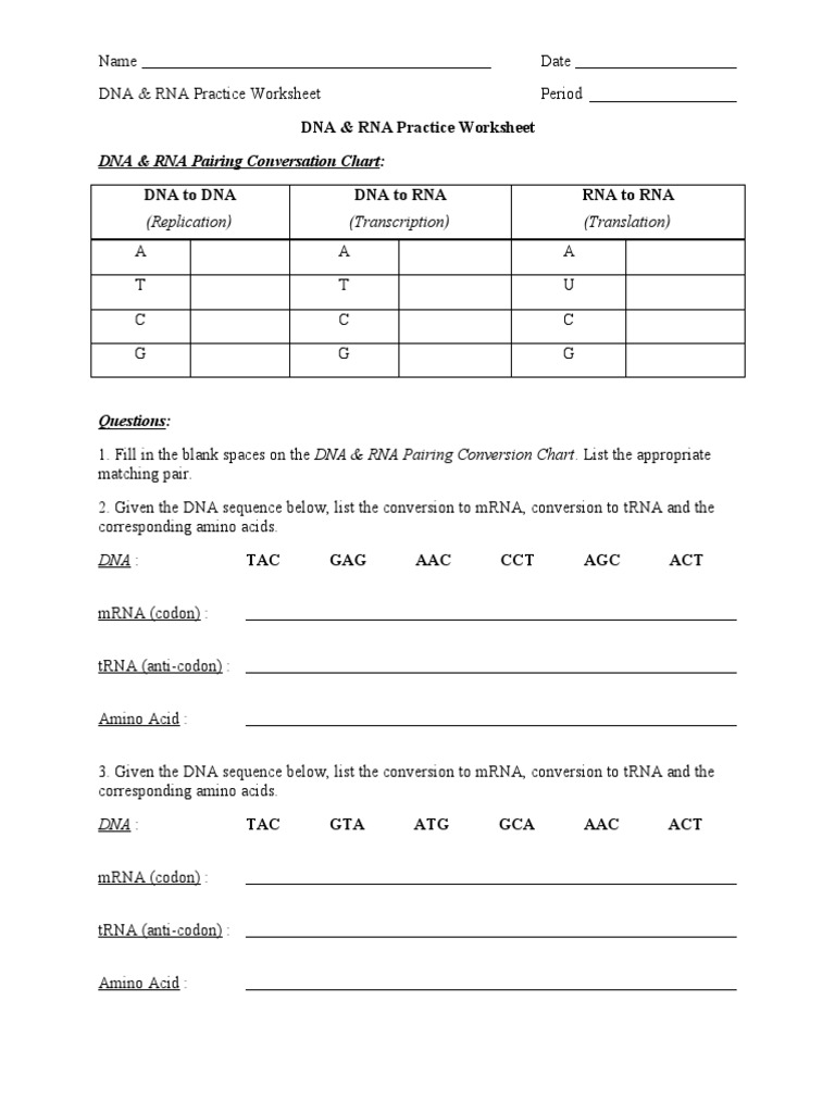 dna-and-rna-practice-worksheet-pdf