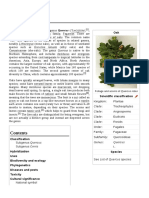 Oak.pdf