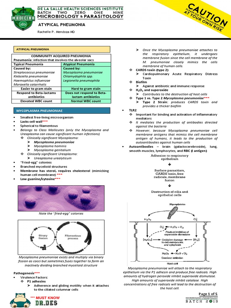 MICRO 028 Atypical Pneumonia | PDF | Mycoplasma | Pneumonia