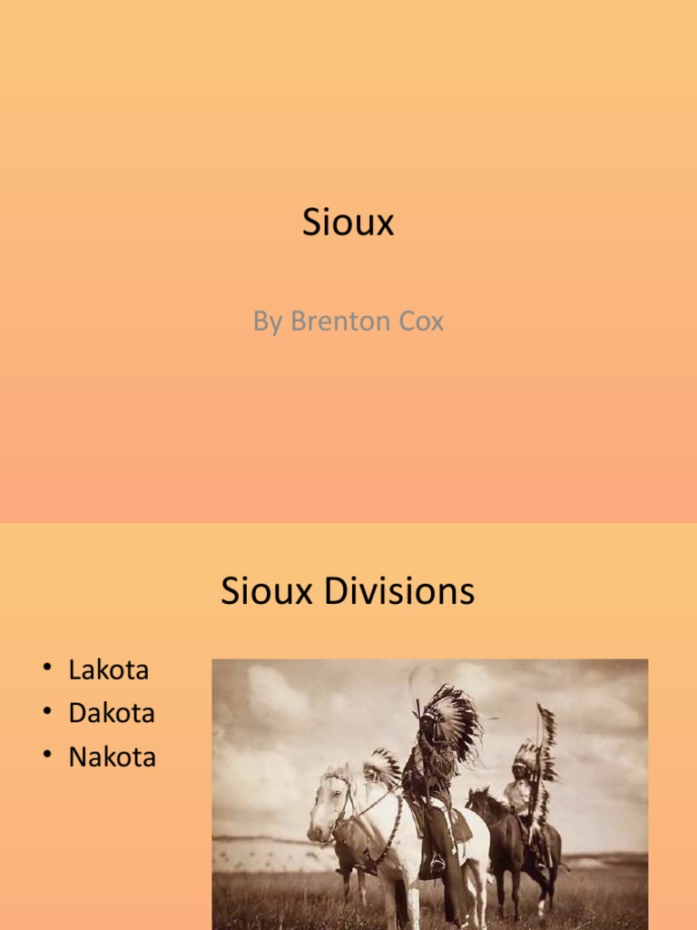 Overview of Sioux Tribes and Wars | PDF | Sioux | Battle Of The Little ...