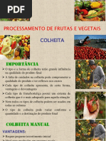 COLHEITA
