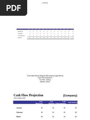 Basic Cash Flow Projections