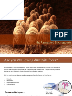 Dust Mites Presentation