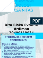 Dita Riska Evrianti Ardiman-70400119034