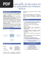 RESUMO - PROGRAMA NACIONAL DE MELHORIA DO ACESSO E DA QUALIDADE DA ATENÇÃO BÁSICA