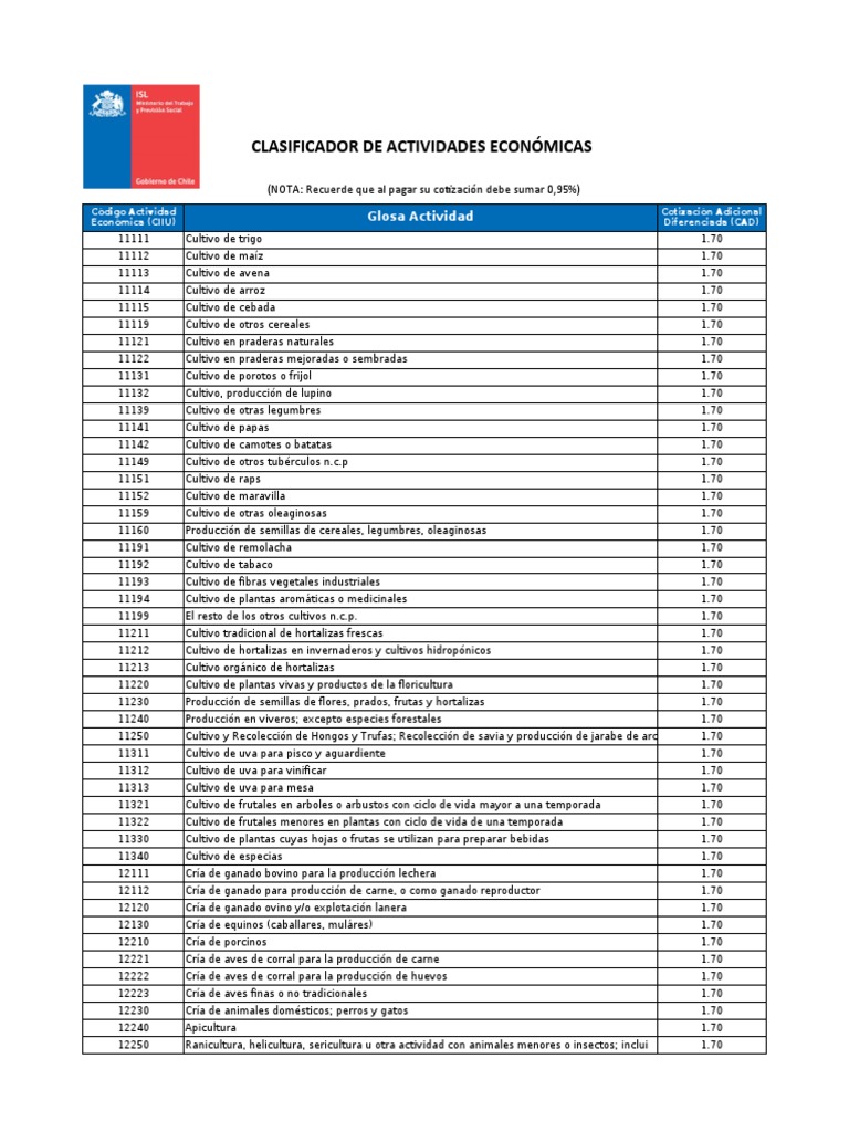 Clasificador de Actividades Economicas DS 110 | PDF | Fabricación de ...
