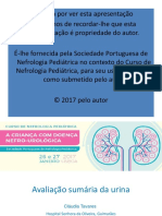 Avaliação Sumária de Urina PDF