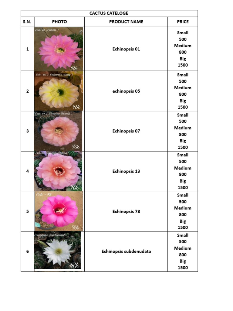 Cactus Catalogue and Pricing Guide | PDF | Botany | Garden Plants