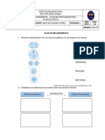 1P - Planes 6CN-2019