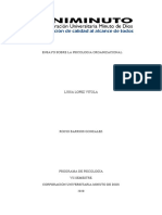 Ensayo Sobre La Psicologia Organizacional