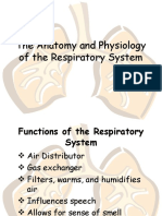 The Anatomy and Physiology of The Respiratory System
