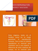 aparato reproductor masculino y femenino.pdf