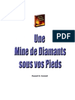 Une Mine de Diamants Sous Vos Pieds