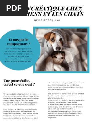 Newsletter Mai Pdf Pancreas Cancer Du Pancreas