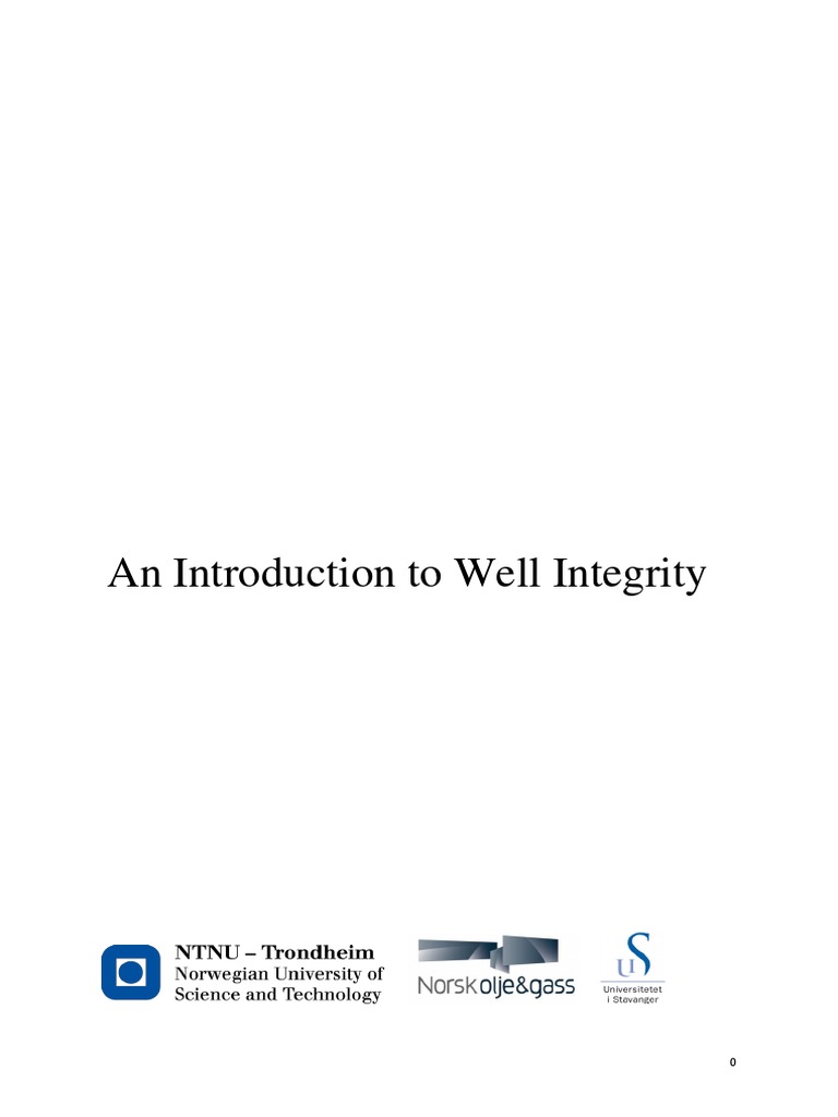 Understanding Well Integrity Basics | PDF