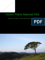 Horton Plains National Park: Heaven On Earth, 2100 Meters Above Sea Level