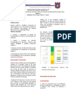 Reporte Quimica Organica Cromatografia