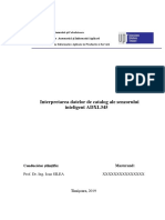 Referat Minimal-Exemplu PDF