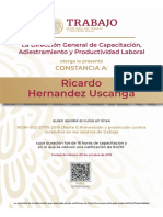 Constancia PDF