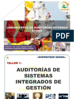 Introduccion Auditorías de SIG