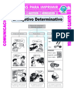 Ficha Que Son Los Adjetivos Determinativos para Quinto de Primaria