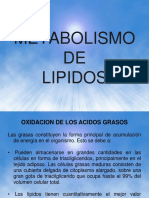 Catabolismo de AG - Betaoxidacion