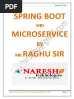 Spring Boot Nit