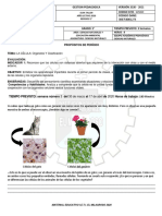 Guía de Trabajo Ciencias Naturales 5°-2020