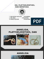 Biosistemtik Ana Plata Nema