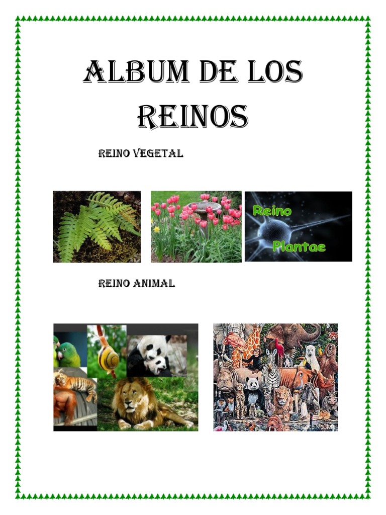 Albun Reinos Animal y Vegetal | PDF | Plantas | Organismos