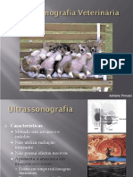 Diagnóstico por Imagem - Ultrassonografia