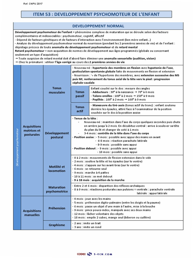 Item 53 Developpement Psychomoteur Pdf Pdf Trouble Du Deficit De L Attention Avec Ou Sans Hyperactivite Handicap Mental