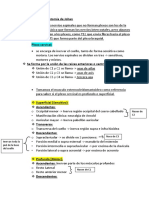 REPASO neuroANATOMIA FINAL PDF