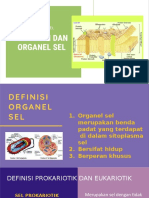 Menbran Dan Organel Sel-HG