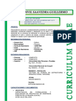 Curriculum Vitae Guillermo PDF